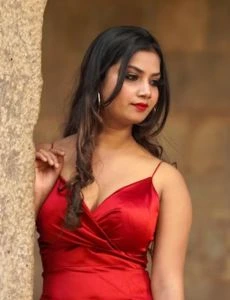 call girl service in Honnali